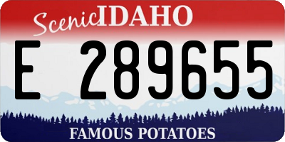 ID license plate E289655
