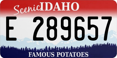 ID license plate E289657