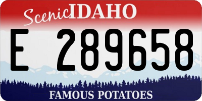 ID license plate E289658
