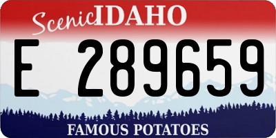ID license plate E289659