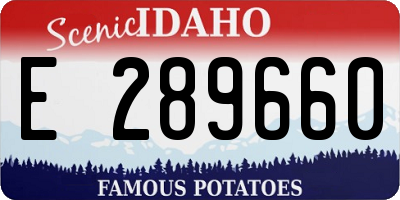 ID license plate E289660