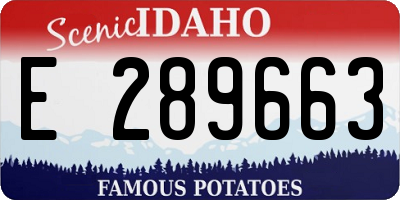 ID license plate E289663