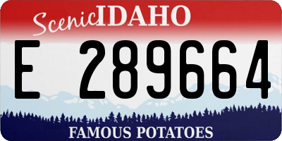 ID license plate E289664