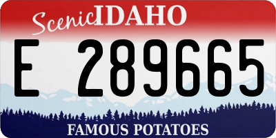 ID license plate E289665