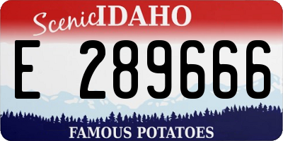 ID license plate E289666