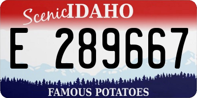 ID license plate E289667