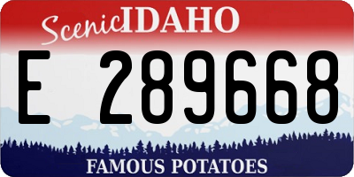 ID license plate E289668