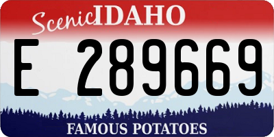ID license plate E289669