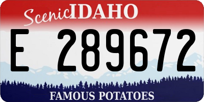ID license plate E289672