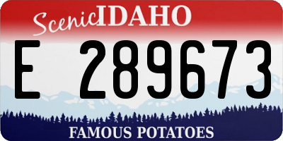 ID license plate E289673
