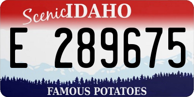 ID license plate E289675