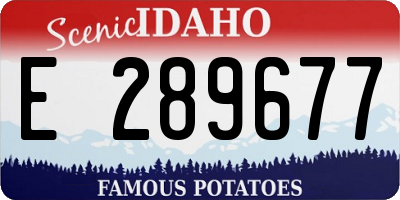 ID license plate E289677