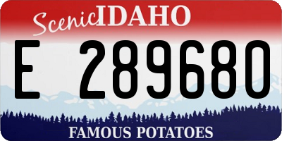 ID license plate E289680