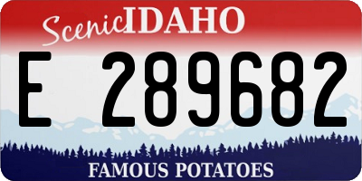 ID license plate E289682