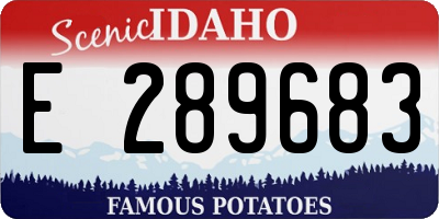 ID license plate E289683