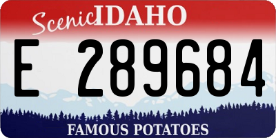 ID license plate E289684