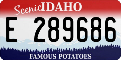 ID license plate E289686