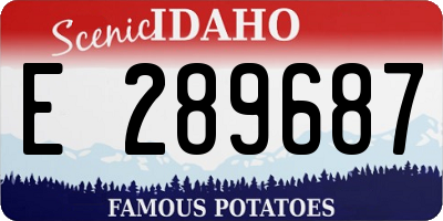 ID license plate E289687