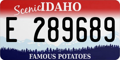 ID license plate E289689