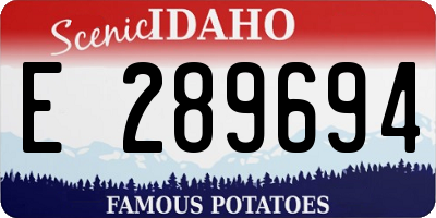 ID license plate E289694