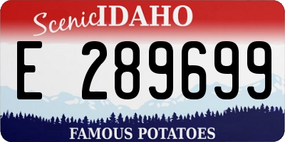 ID license plate E289699