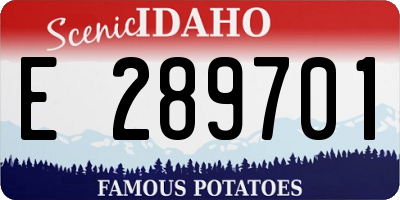 ID license plate E289701