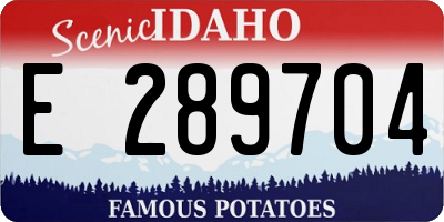 ID license plate E289704