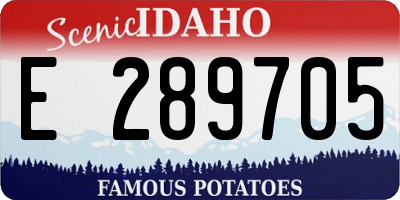 ID license plate E289705