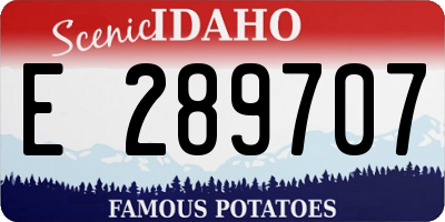 ID license plate E289707