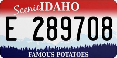 ID license plate E289708