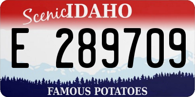 ID license plate E289709