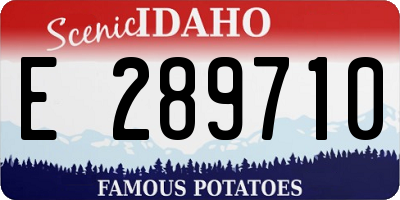 ID license plate E289710