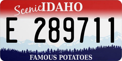 ID license plate E289711