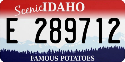 ID license plate E289712