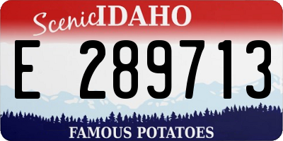 ID license plate E289713