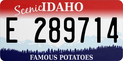 ID license plate E289714