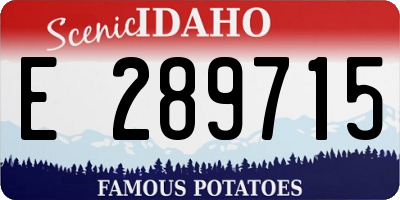 ID license plate E289715