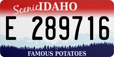 ID license plate E289716