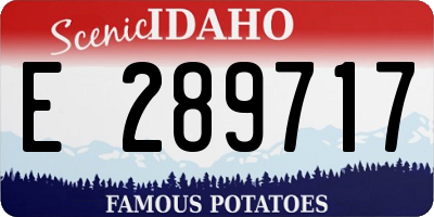 ID license plate E289717
