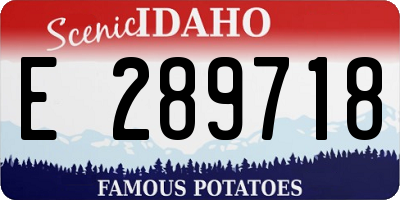 ID license plate E289718