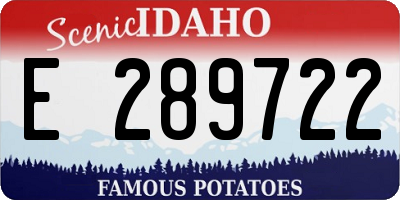 ID license plate E289722