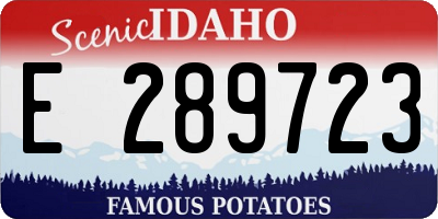 ID license plate E289723