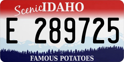ID license plate E289725