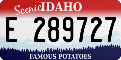 ID license plate E289727