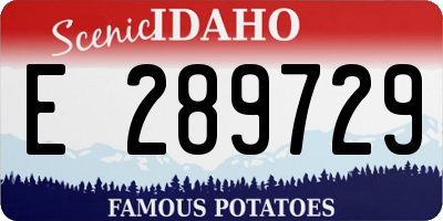 ID license plate E289729