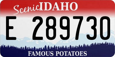ID license plate E289730