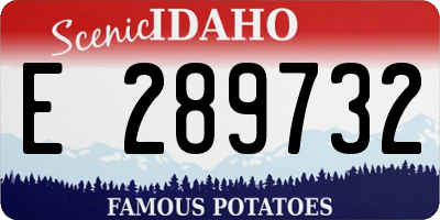 ID license plate E289732