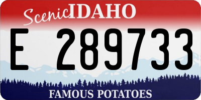 ID license plate E289733