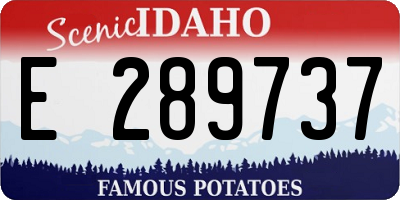 ID license plate E289737