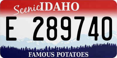 ID license plate E289740